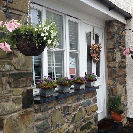 Snowdonia Snug - Studio Style Accommodation ดอลเกซเซย์ ภายนอก รูปภาพ