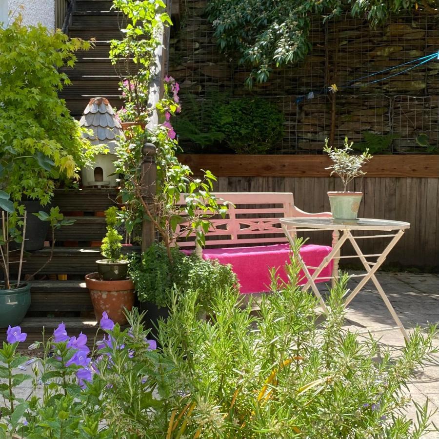 Snowdonia Snug - Studio Style Accommodation ดอลเกซเซย์ ภายนอก รูปภาพ