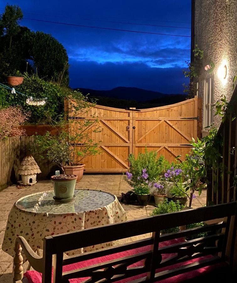 Snowdonia Snug - Studio Style Accommodation ดอลเกซเซย์ ภายนอก รูปภาพ
