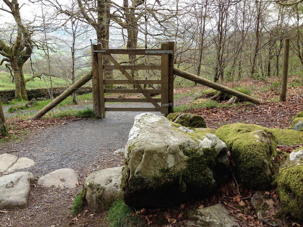 Snowdonia Snug - Studio Style Accommodation ดอลเกซเซย์ ภายนอก รูปภาพ