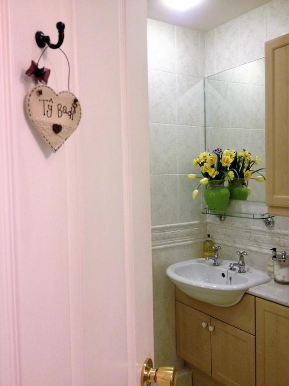 Snowdonia Snug - Studio Style Accommodation ดอลเกซเซย์ ภายนอก รูปภาพ