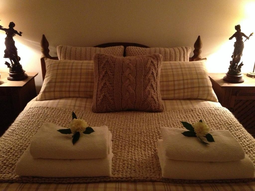 Snowdonia Snug - Studio Style Accommodation ดอลเกซเซย์ ภายนอก รูปภาพ