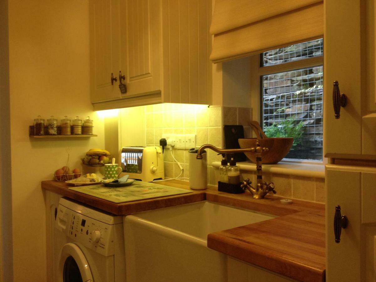 Snowdonia Snug - Studio Style Accommodation ดอลเกซเซย์ ภายนอก รูปภาพ